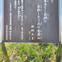 藤原宮跡