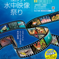 2015 上方水中映像祭り