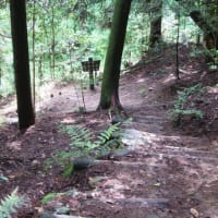 2025年5月4回目極楽寺・極楽寺山・屋代コーストレッキングと蛇の池のスイレン