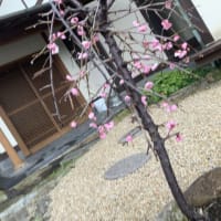 3月の店休日のお知らせ