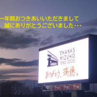 マテウス ドス サントス カストロ加入 赤鯱にこんがらがって マテウス ドス サントス カストロ加入 赤鯱にこんがらがって