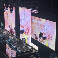 Cyndi Lauper Girls Just Wanna Have Fun FAREWELL TOUR
