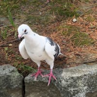 撮っていいよ♪