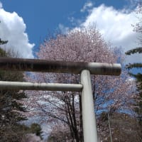 ちょっくら道東⑧