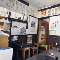名物  冷やし蕎麦 in 栄屋