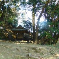 地元の稲荷におキツネさん