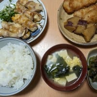 豆腐の豚バラ巻きの晩ご飯