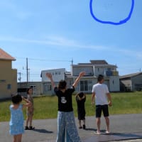 岸和田市でブルーインパルスを見たと写真が届きました