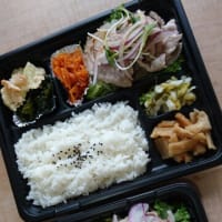 お弁当、お試し期間中