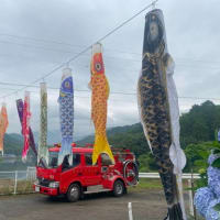 毎年恒例の粟井神社・紫陽花サイクリング♪