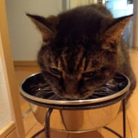 実は自力で出来る