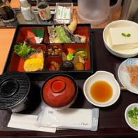 三島、柿田川公園に行った