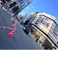 今日いち-2025年6月19日ー新宿三丁目ー