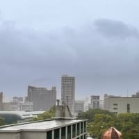 雨の一日