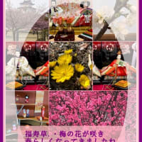 photo scapeでポストカード