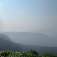 ご質問にお答えしてと、今日は雲海見に行ったり、