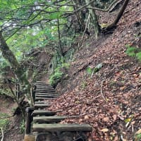 長沢背陵〜秩父へ