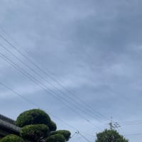 ここ暫くのこと〜