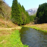 新潟の渓へ