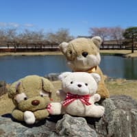小幡陣屋(2025年4月)