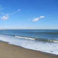 裏事情が見え隠れ＆冬の砂浜