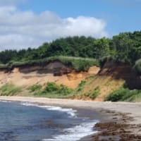 東通村の野牛のレストハウスと石持の北部海岸