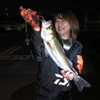 中津港の瀬渡し 釣具センターえびすや えびすや日記