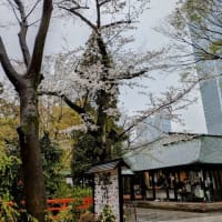 愛宕神社（東京都港区）