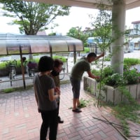 「七夕飾り」の飾りつけ（2025）・・・姶良市加治木町錦江駅