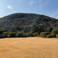 誰もが自分らしくコミュニケーションがとれる世の中へ