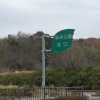 森林公園北口