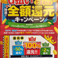3月の定休日のお知らせとｄ払い・auPAY・PayPayのキャンペーンのお知らせ