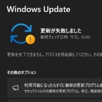 Windows 11 バージョン 24H2 Release Preview で 累積更新 (KB5040435) がインストールできない問題、なんとか対策できました。
