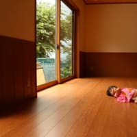 平屋を見学させてもらいました レオハウスの家 平屋を見学させてもらいました レオハウスの家