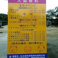 9月の掃除