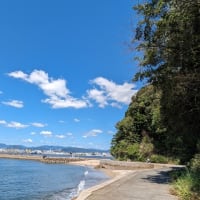 高龗神の言葉　　　　え、クルクル廻るの？