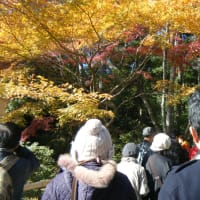 金閣寺