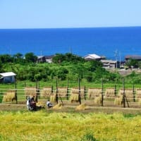 新潟県の農業・食品・水産業の実態明らかに　帝国データバンクが経営調査