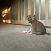 2人で一つ