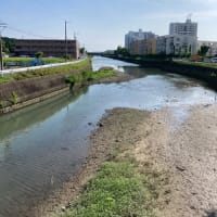 佐鳴湖への散歩