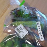 秋の味覚