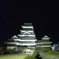 「17-Apr-24　松本城の夜桜」