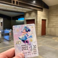 【祝ディズニーシー20th】ディズニーリゾートラインに乗ってみた。