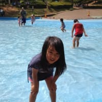 ブログ更新しました。