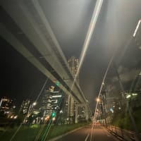 皆さーん、7月に入りましたよー