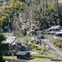 山の邉の道ぶらり