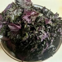 自分が役に立てる居場所