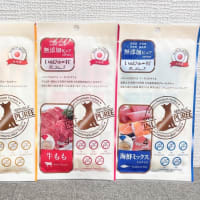 無添加おやつの試食会、開催‼️