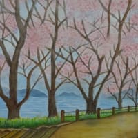 安芸津　正福寺山公園の桜と瀬戸内海