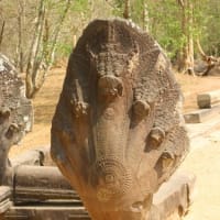 【蛇神・完全理解】Ⅴ.人頭蛇身の金運の神「宇賀神」さま
